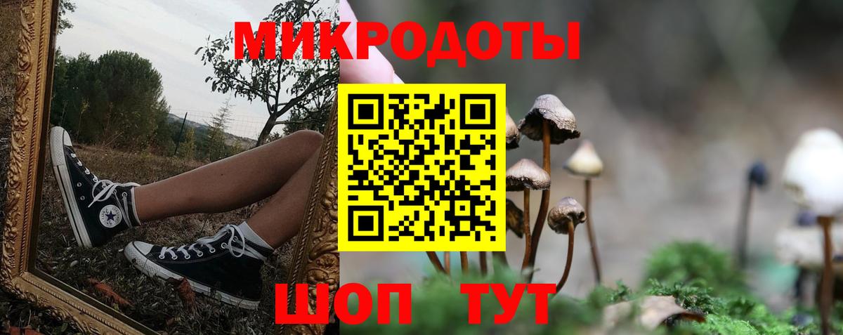 Галлюциногенные грибы Psilocybe Можайск